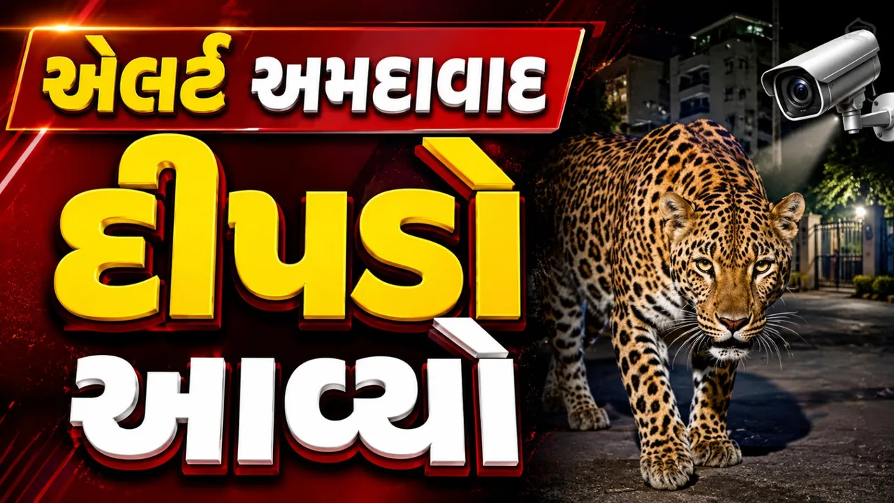 શહેરમાં જંગલનો મહેમાન! અમદાવાદમાં 26 વર્ષ બાદ ફરી દેખાયો દીપડો