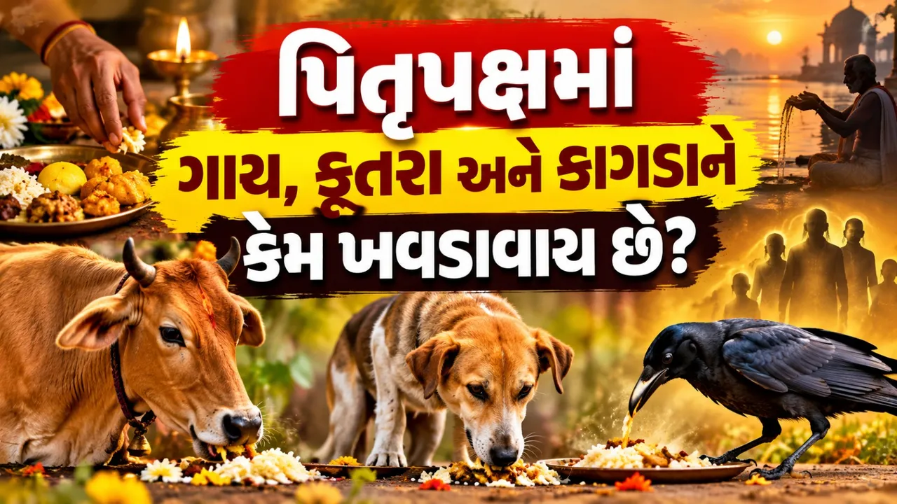 પિતૃઓ કીડી, ગાય અને કૂતરાના રૂપમાં ભોજન લેવા આવે છે? જાણો માન્યતા