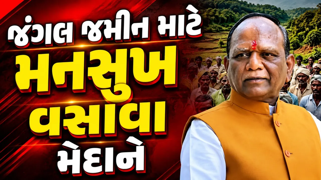 જંગલ જમીનના હક માટે મનસુખ વસાવાનો અવાજ, આદિવાસી ખેડૂતો સાથે ઉભા રહેવાનો વિશ્વાસ
