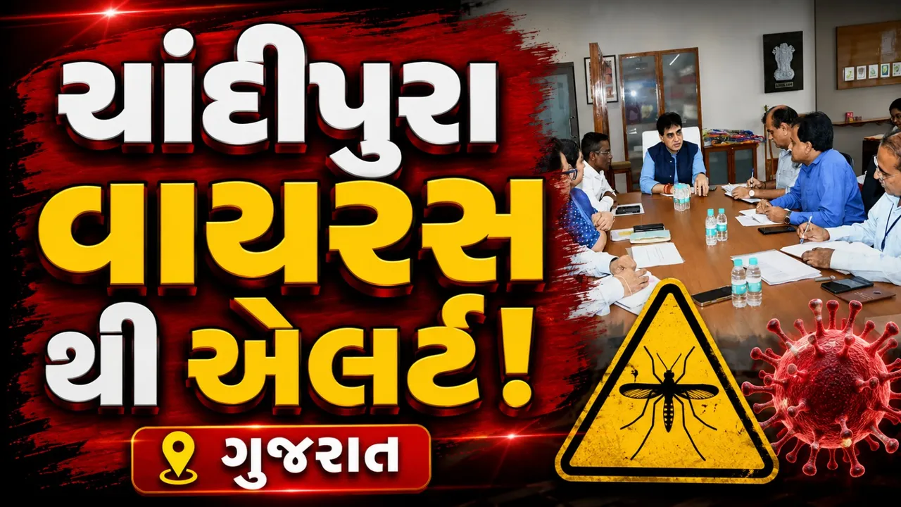 ગુજરાતમાં ચાંદીપુરા વાયરસ પર સરકાર સતર્ક, હોસ્પિટલોને અપાઈ કડક સૂચનાઓ