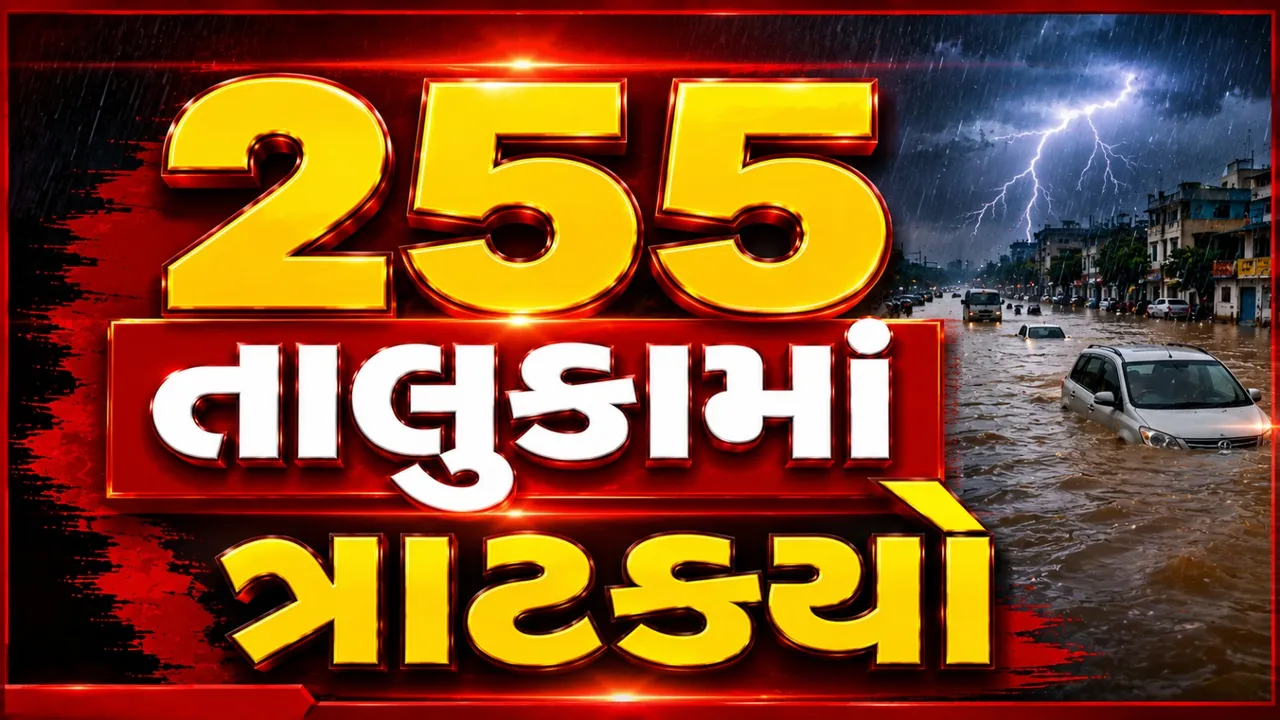 24 કલાકમાં ગુજરાત ધમધમ્યું, દક્ષિણ અને મધ્ય ગુજરાતમાં વરસાદનો ભારે કહેર