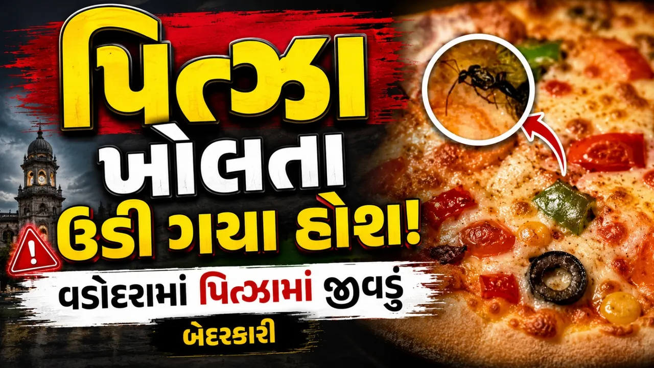 વડોદરામાં પિત્ઝા ખાવા ગયાને અંદર જીવડું, ગ્રાહક ચોંક્યા !