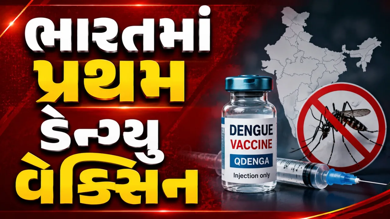 હવે ડેન્ગ્યુથી બચવું થશે સરળ, ભારતમાં પ્રથમ ડેન્ગ્યુ વેક્સિન મંજૂર