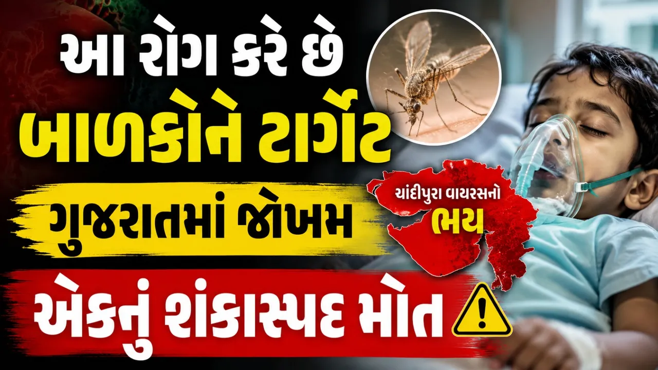 બાળકો માટે વધ્યો ખતરો? પંચમહાલમાં શંકાસ્પદ મોત,જાણો આ રોગ વિશે