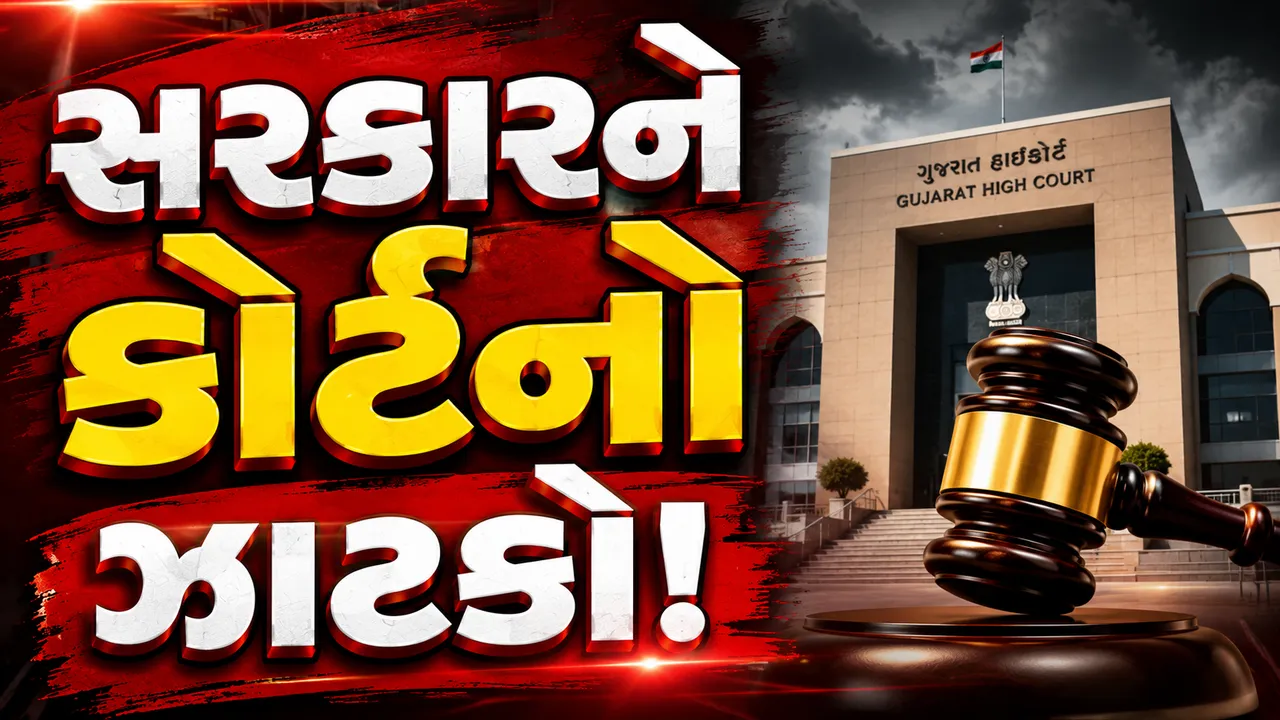 નાસિરનગર કેસમાં હાઇકોર્ટની તીખી ટિપ્પણી, સરકાર 'આંખમાં ધૂળ' નાખી રહી હોવાની નોંધ