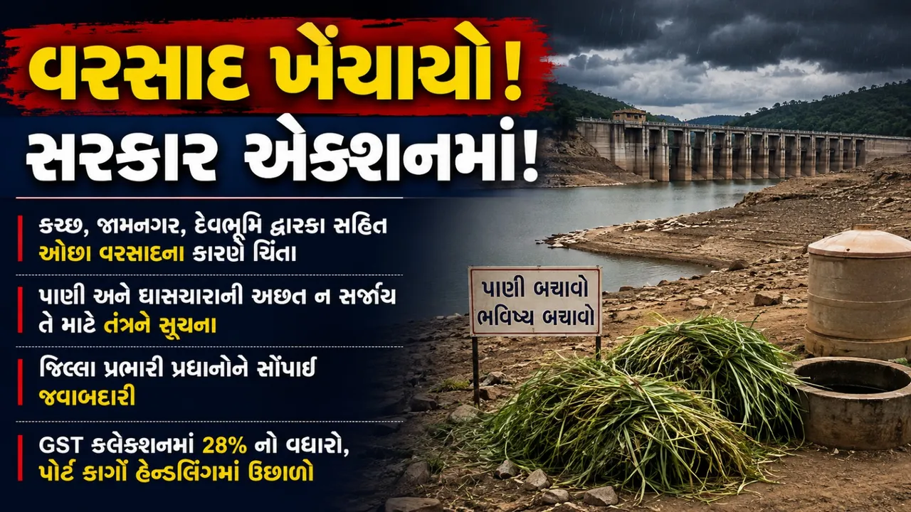 વરસાદ ખેંચાતા ગુજરાત સરકાર એક્શનમાં, કચ્છ-જામનગર-દ્વારકામાં પાણી-ઘાસચારાની ખાસ વ્યવસ્થા