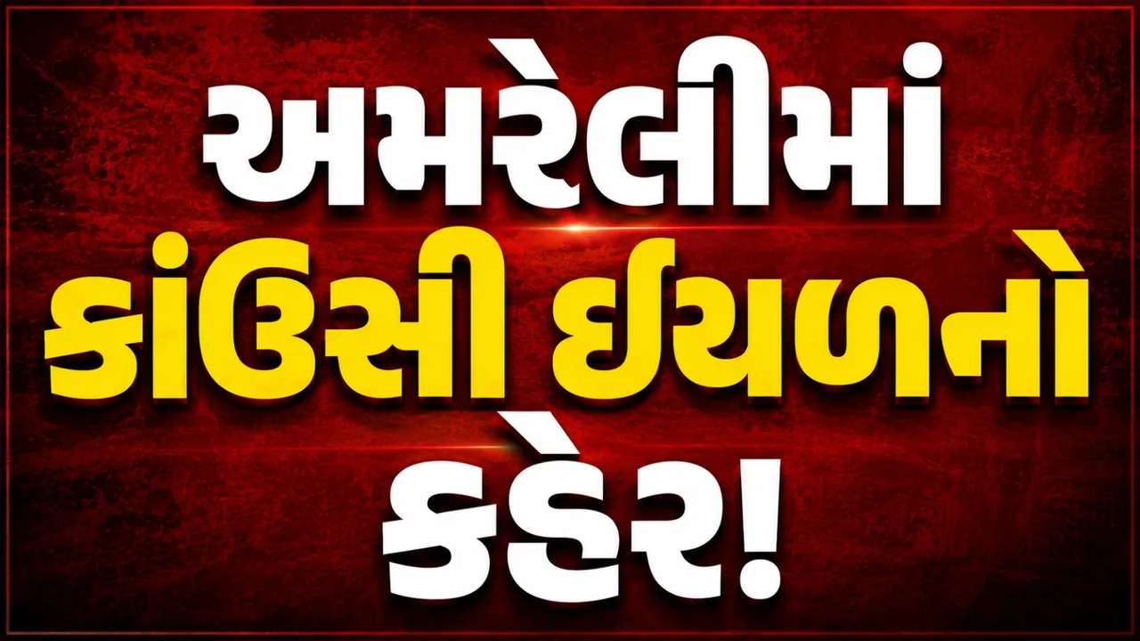 અમરેલીના ગામોમાં મિલીપેડનું આક્રમણ, ઘરની દીવાલોથી છત સુધી જીવડાંનો કબજો